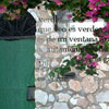 recorte_todo_verde