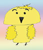 seta pollito